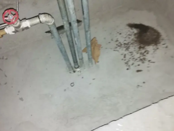 怀化市卫生间测漏水价格明细