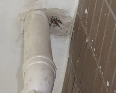 怀化市漏水检测哪家好